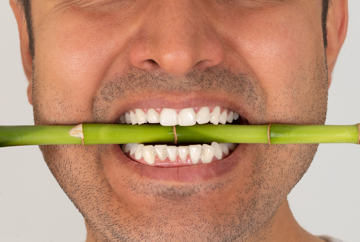 Young man showcasing his white teeth as he bites down on a piece of bamboo